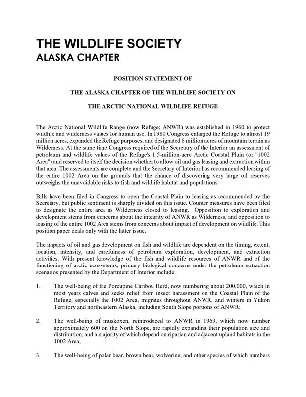 position statement document
