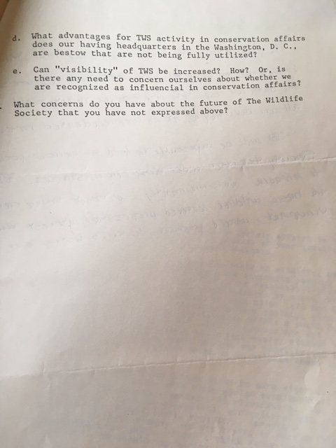 scanned typewritten questionnaire page