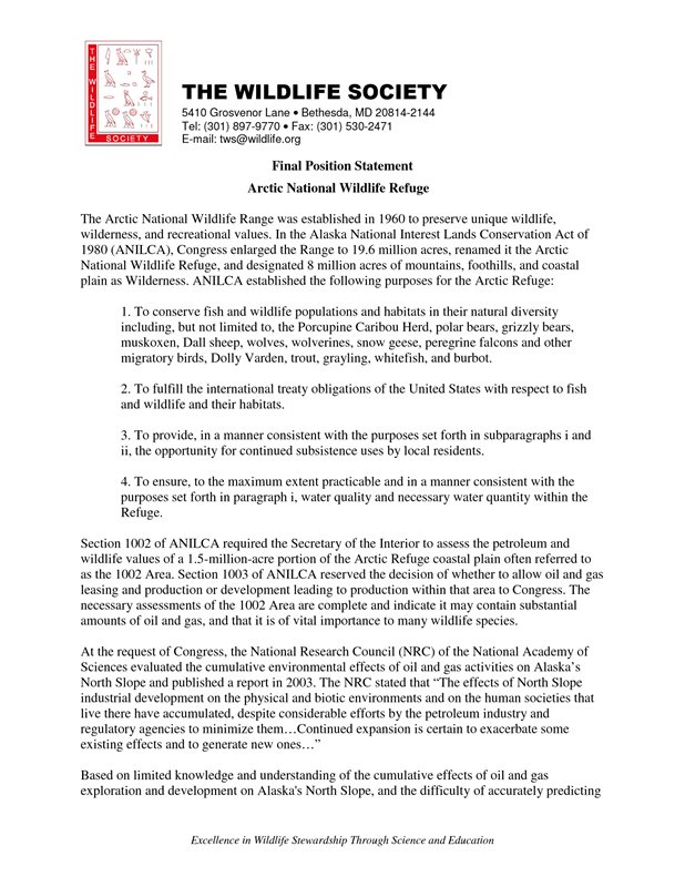 position statement document