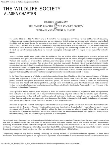 position statement document