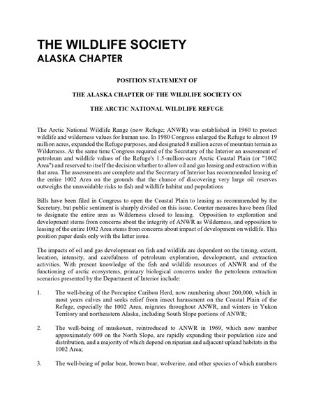 position statement document