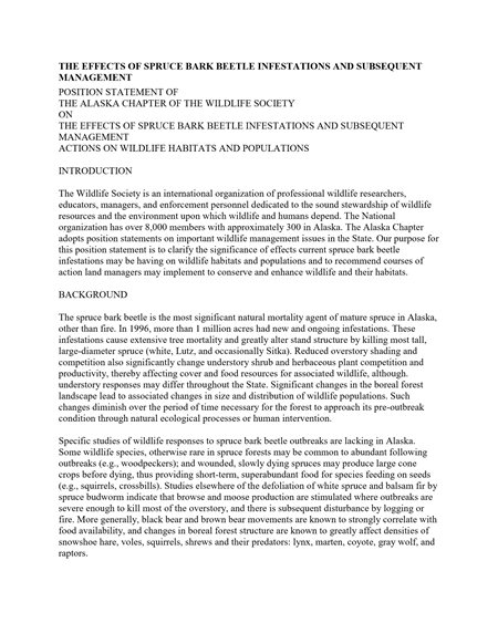 position statement document