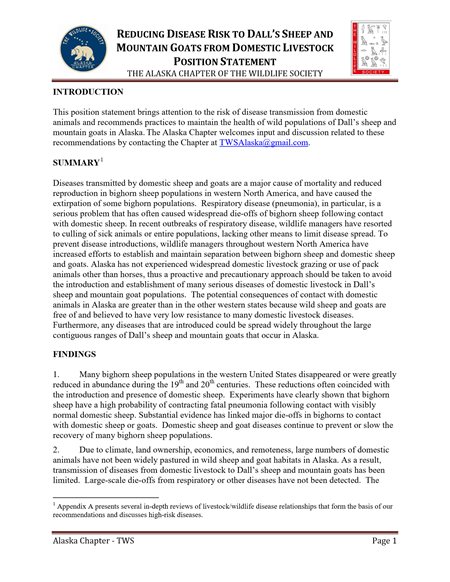 position statement document