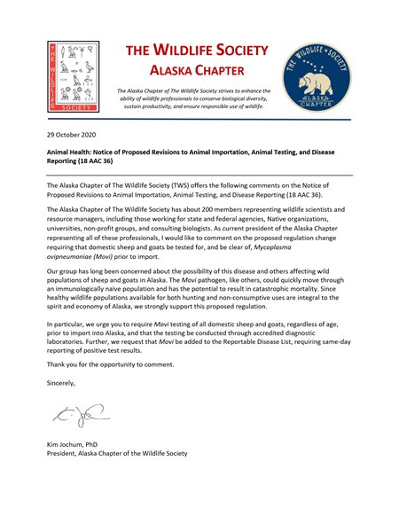 comment letter