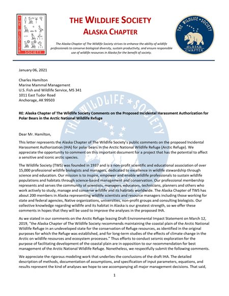 comment letter