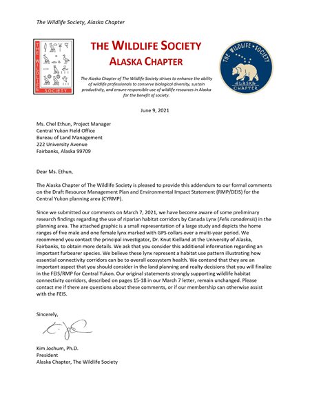 comment letter