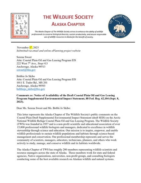 comment letter