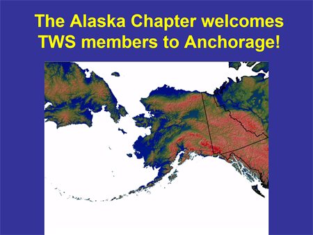 presentation slides