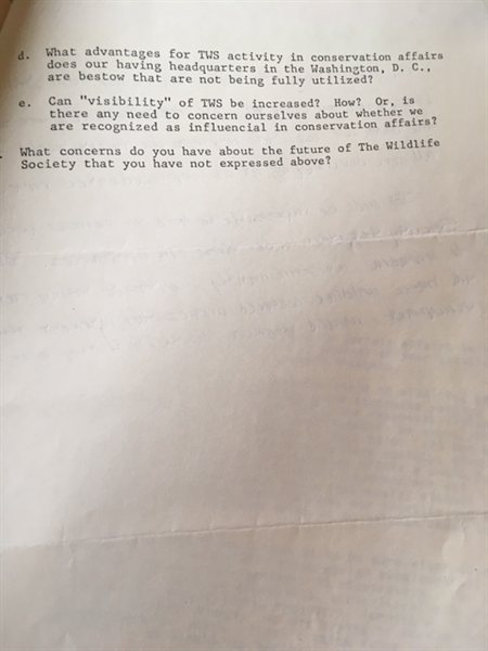 scanned typewritten questionnaire page