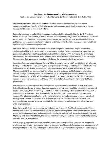 position statement document
