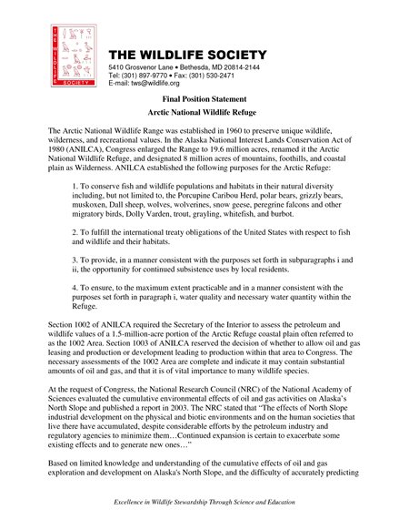 position statement document